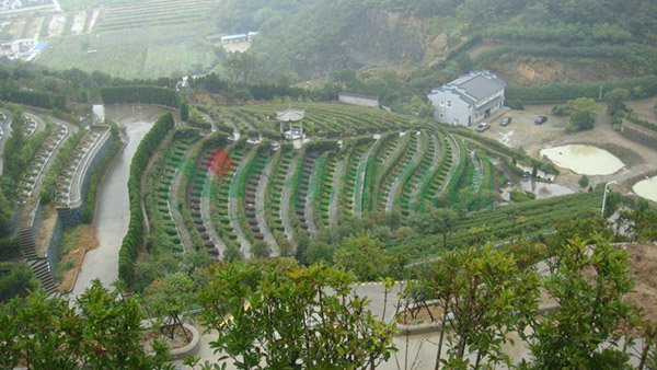 Z6·尊龙凯时(中国区)人生就是搏!