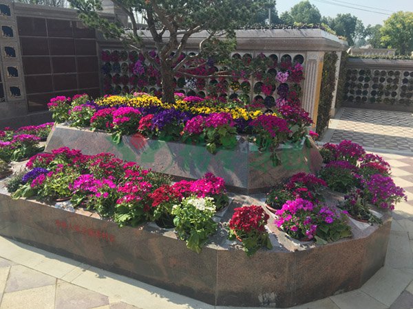 Z6·尊龙凯时(中国区)人生就是搏!