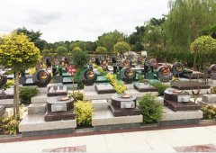 上；懔靶腔鹎