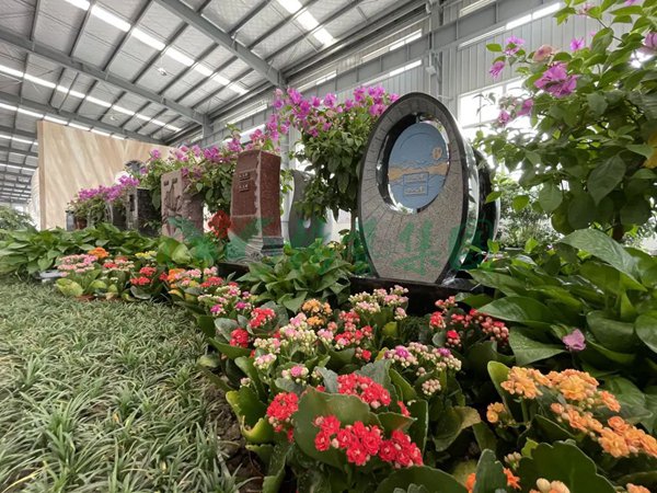 Z6·尊龙凯时(中国区)人生就是搏!