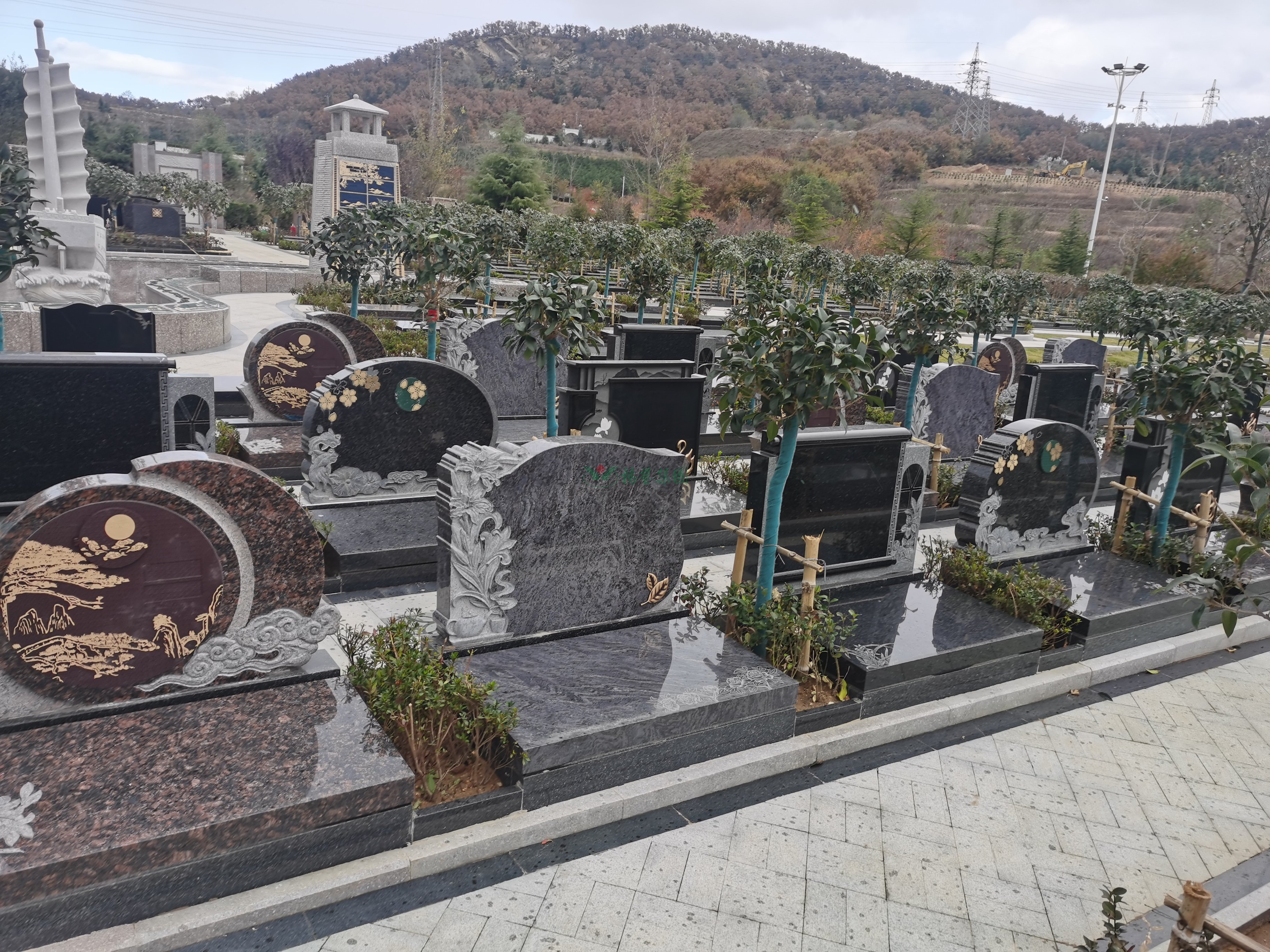 Z6·尊龙凯时(中国区)人生就是搏!