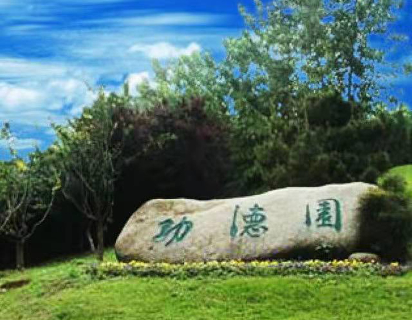 Z6·尊龙凯时(中国区)人生就是搏!