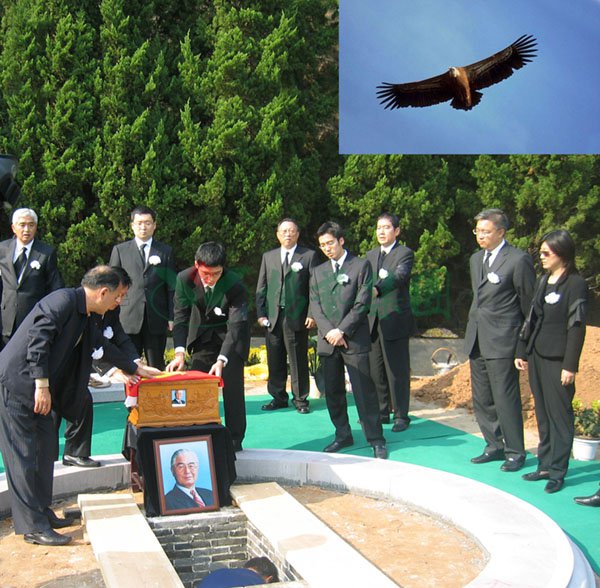 Z6·尊龙凯时(中国区)人生就是搏!