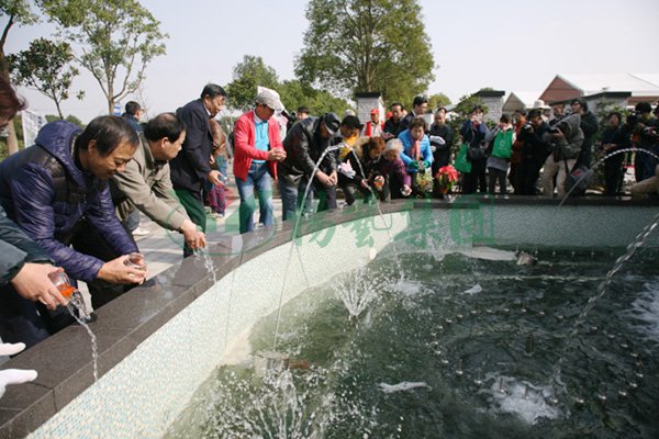 Z6·尊龙凯时(中国区)人生就是搏!