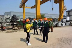 Z6尊龙凯时集团匠心打造景观雕塑型出产基地