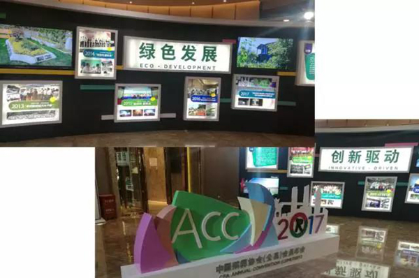 Z6·尊龙凯时(中国区)人生就是搏!