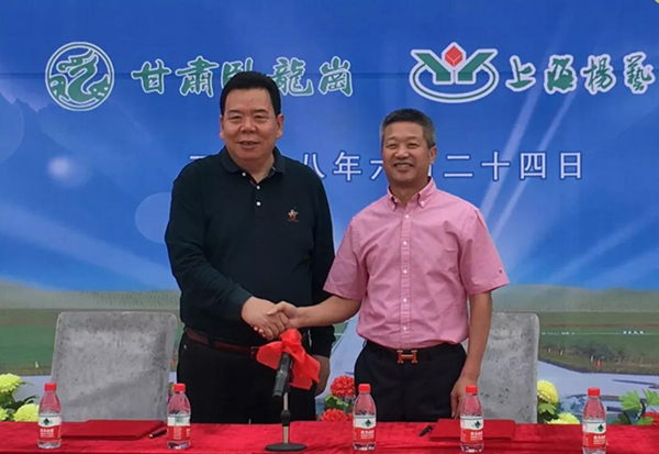 Z6·尊龙凯时(中国区)人生就是搏!