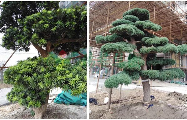 Z6·尊龙凯时(中国区)人生就是搏!