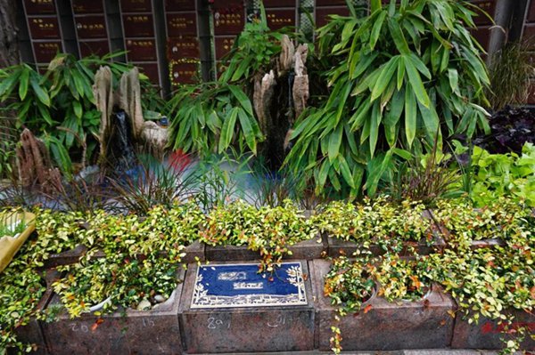 Z6·尊龙凯时(中国区)人生就是搏!