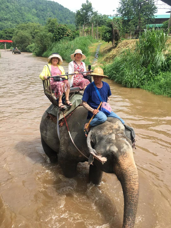 Z6·尊龙凯时(中国区)人生就是搏!