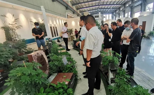 Z6·尊龙凯时(中国区)人生就是搏!