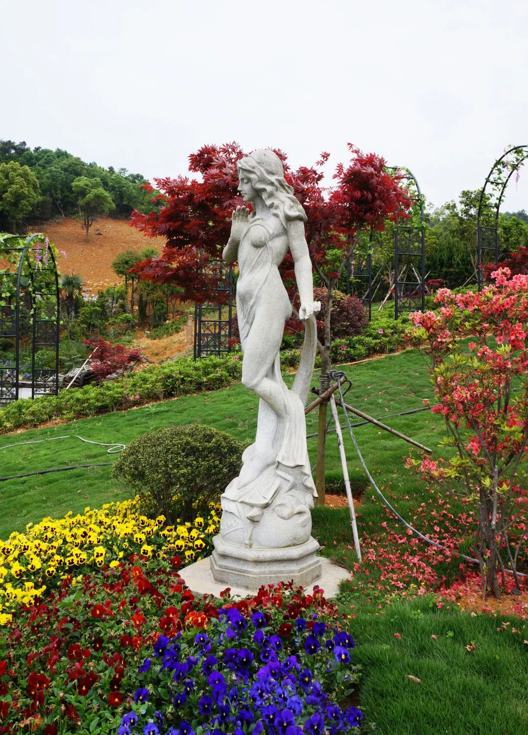 Z6·尊龙凯时(中国区)人生就是搏!