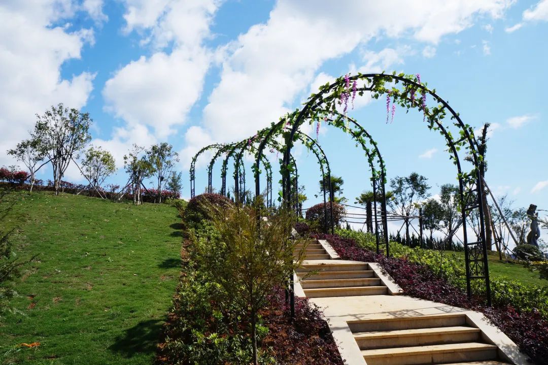 Z6·尊龙凯时(中国区)人生就是搏!