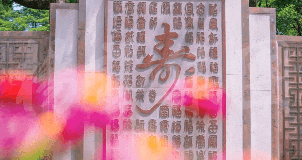 Z6·尊龙凯时(中国区)人生就是搏!