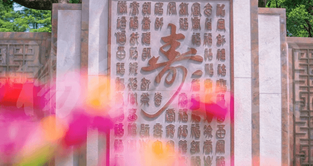 Z6·尊龙凯时(中国区)人生就是搏!