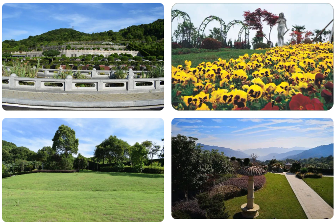 Z6·尊龙凯时(中国区)人生就是搏!