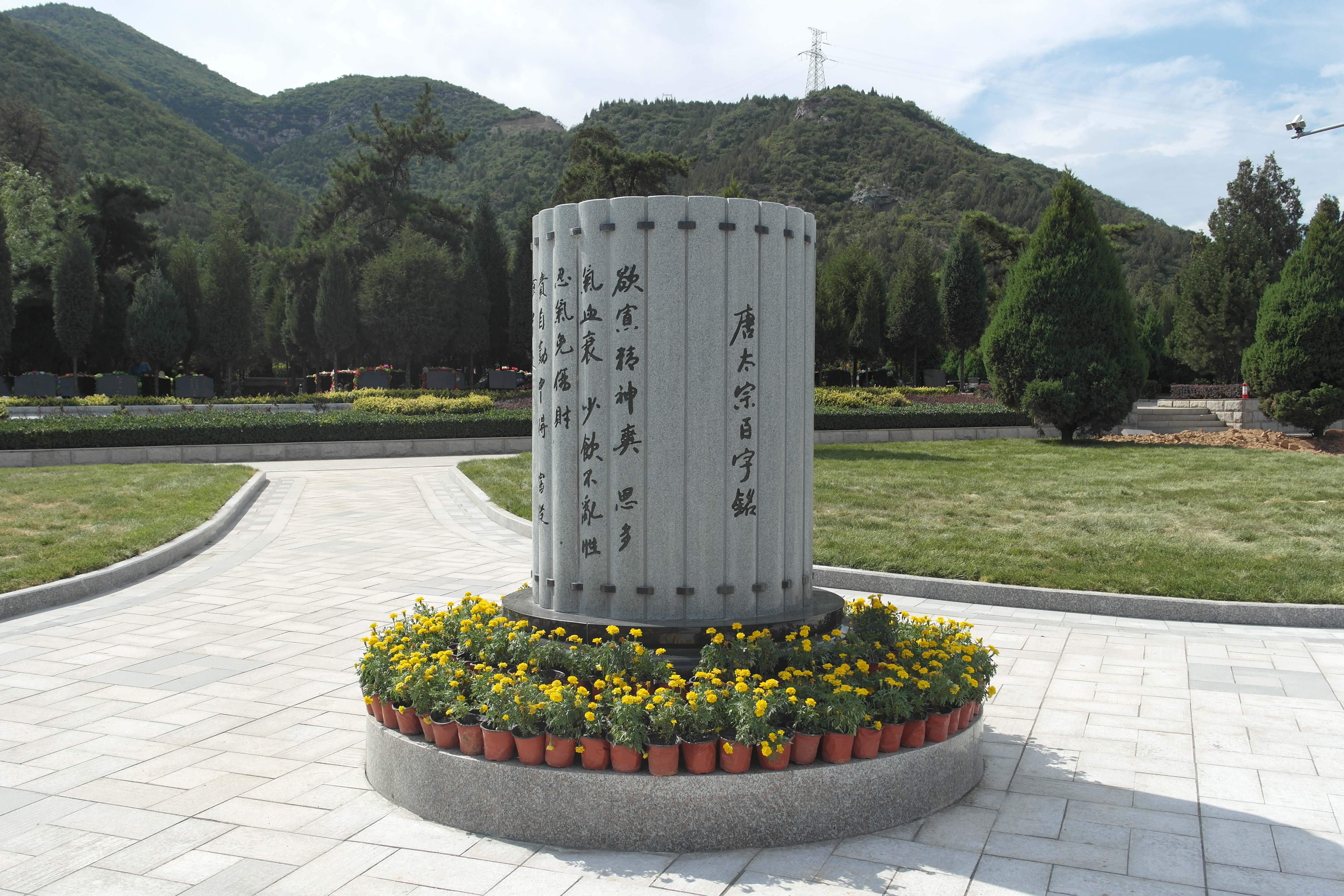 Z6·尊龙凯时(中国区)人生就是搏!