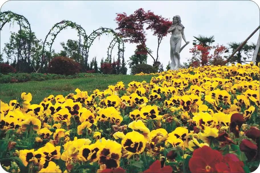 Z6·尊龙凯时(中国区)人生就是搏!