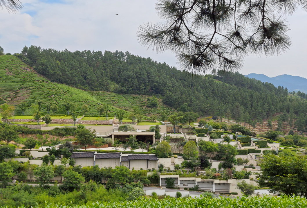 Z6·尊龙凯时(中国区)人生就是搏!