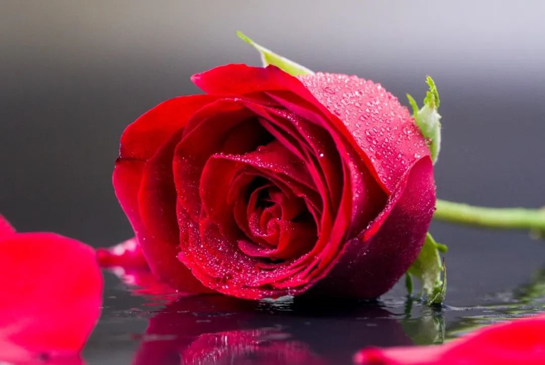 女神节 | 致敬“她”力量，共筑美好将来