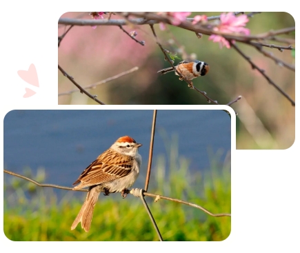 Z6·尊龙凯时(中国区)人生就是搏!