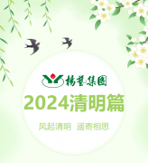 风起清明 遥寄相思|Z6尊龙凯时集团?2024清明篇