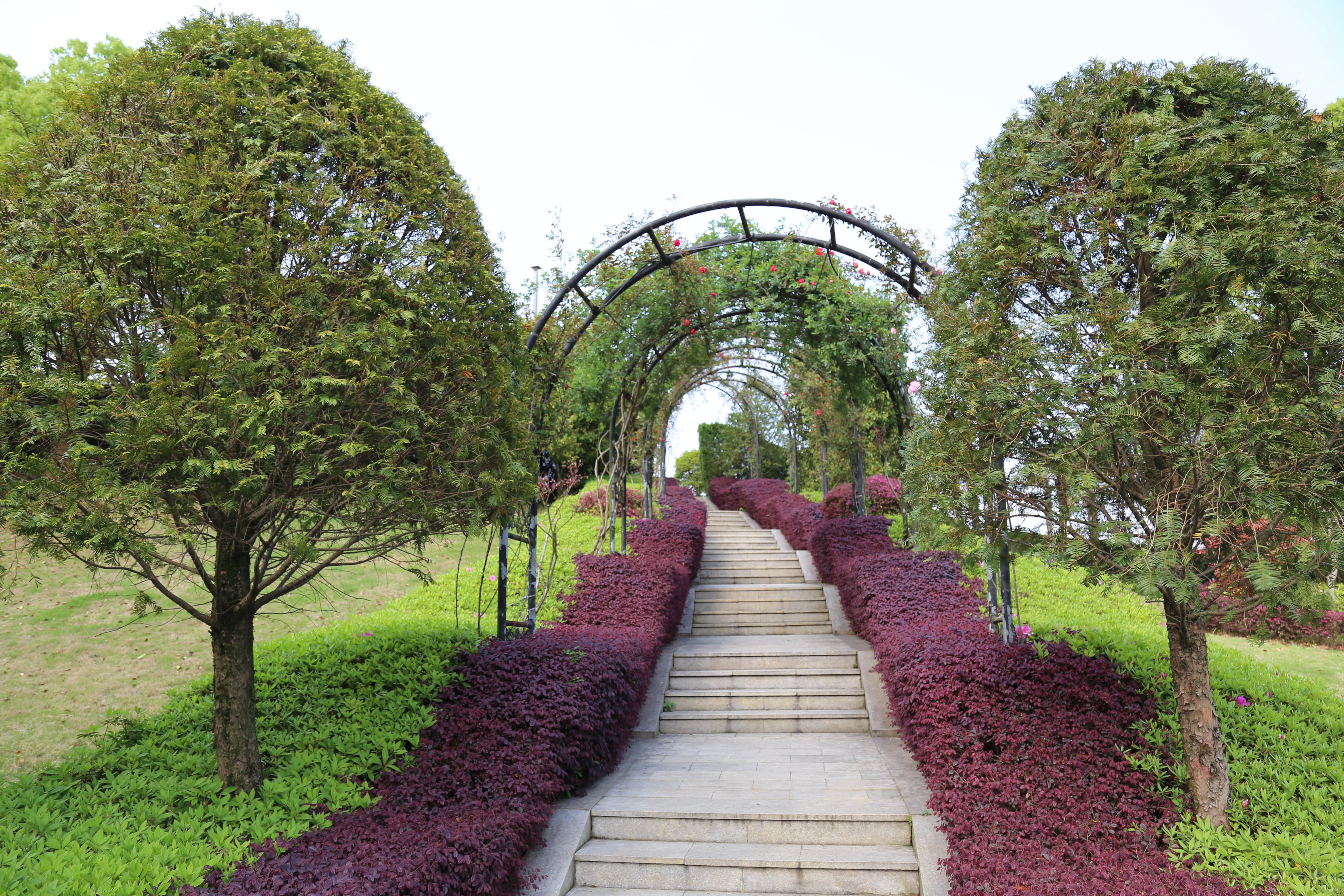 Z6·尊龙凯时(中国区)人生就是搏!