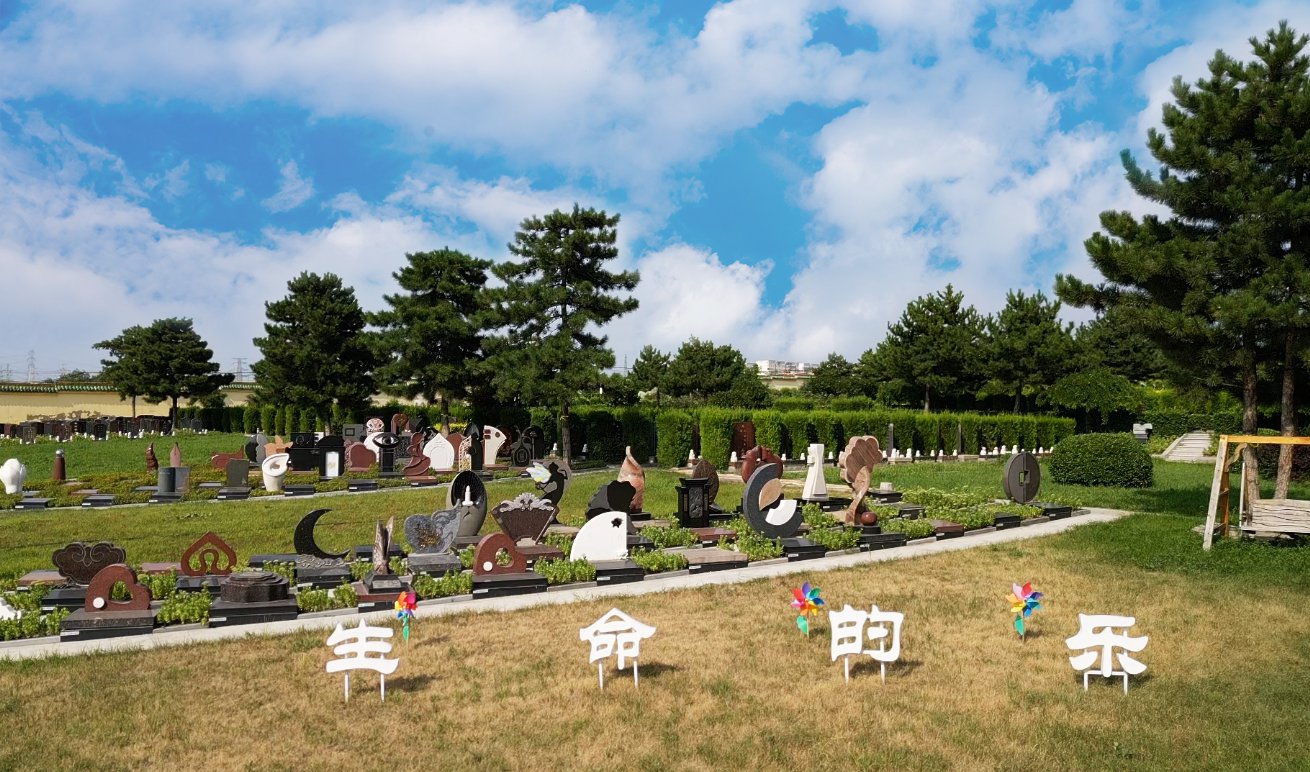 共赢之路：Z6尊龙凯时集团BOT合作模式的优势与效益分析