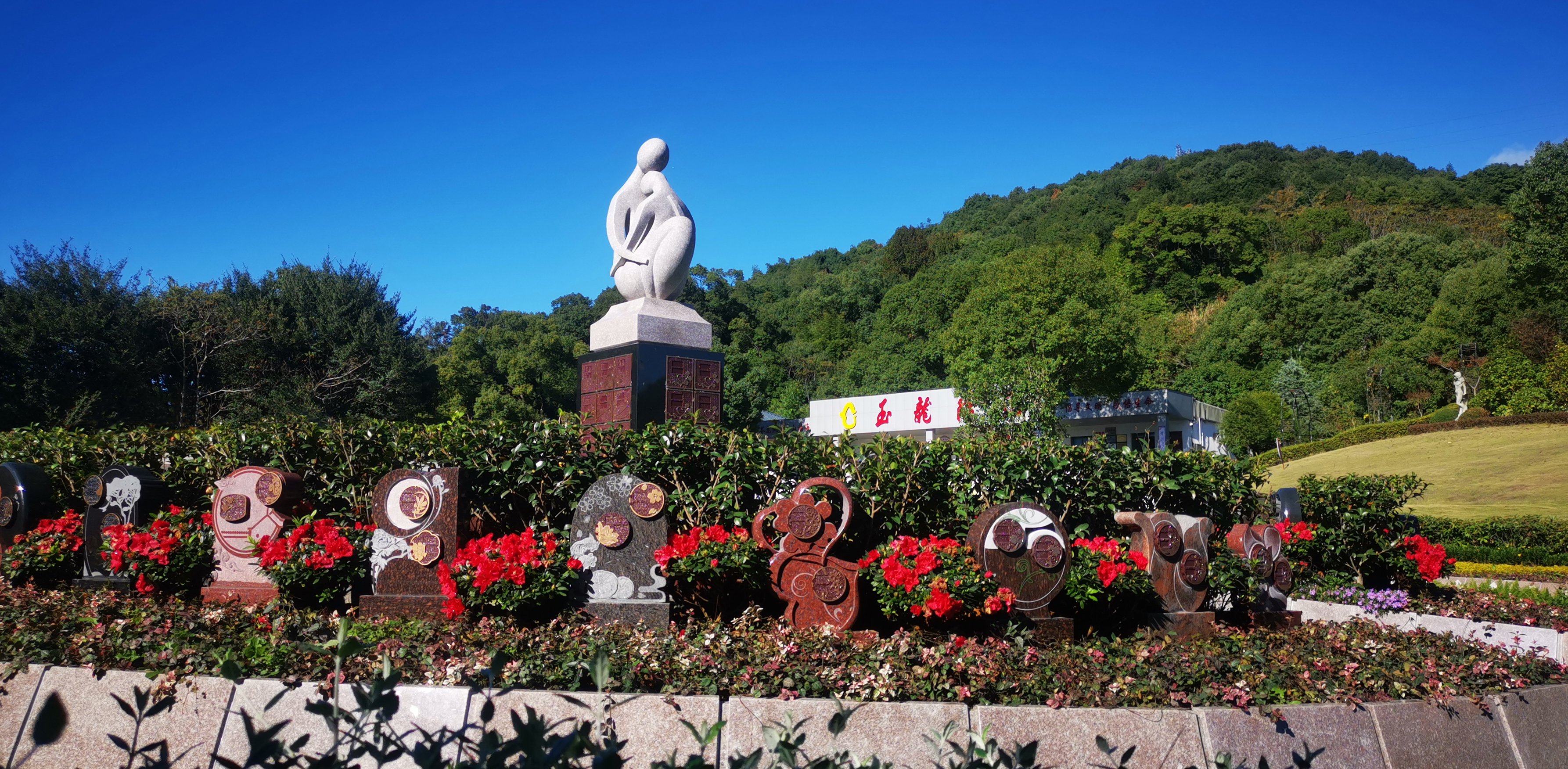 将来，生态葬或将成为主流