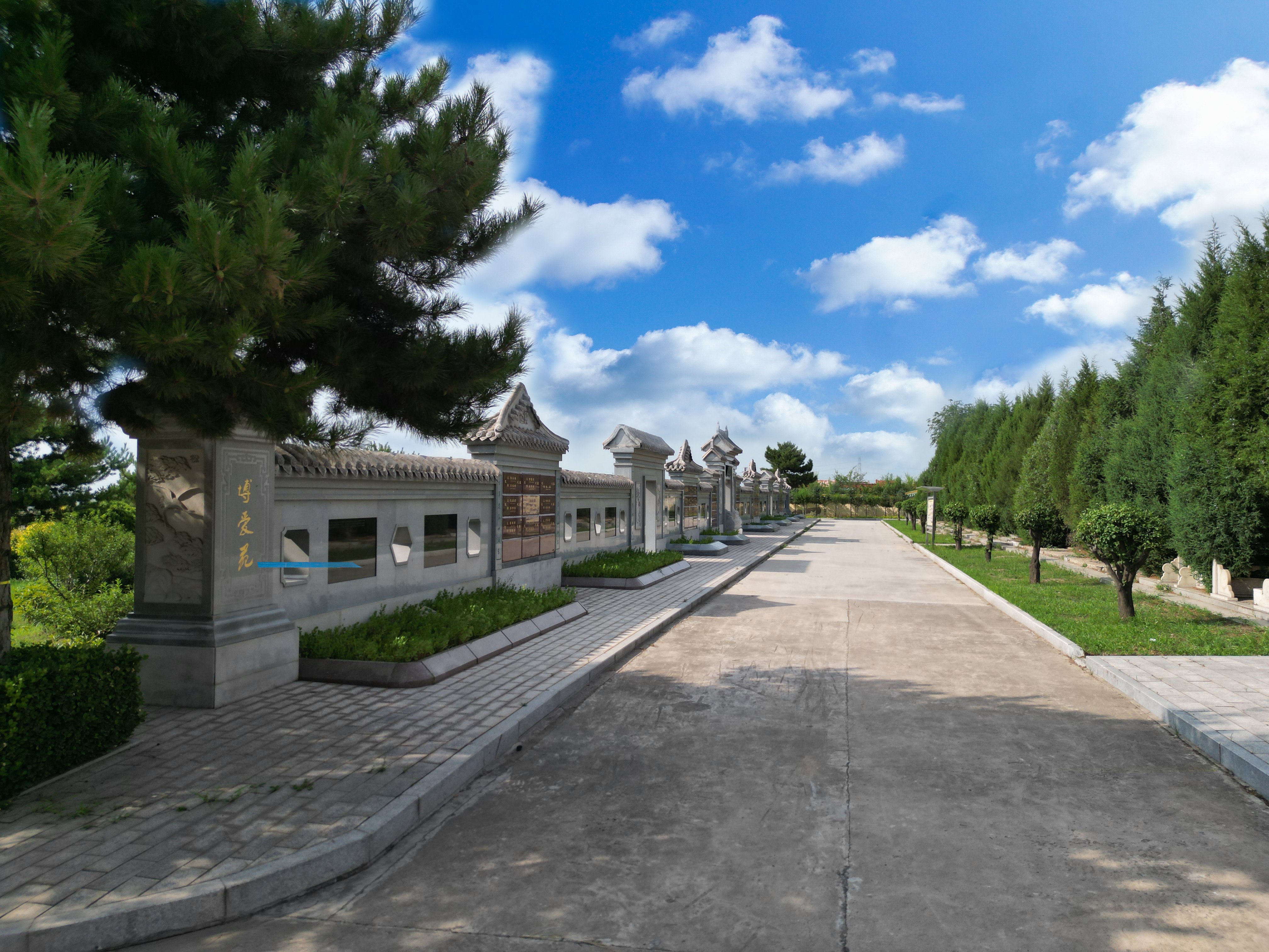 Z6·尊龙凯时(中国区)人生就是搏!