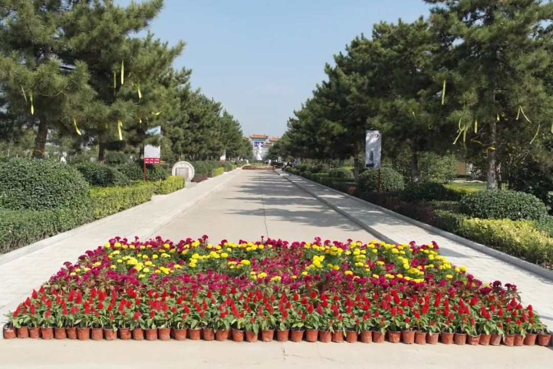 Z6·尊龙凯时(中国区)人生就是搏!