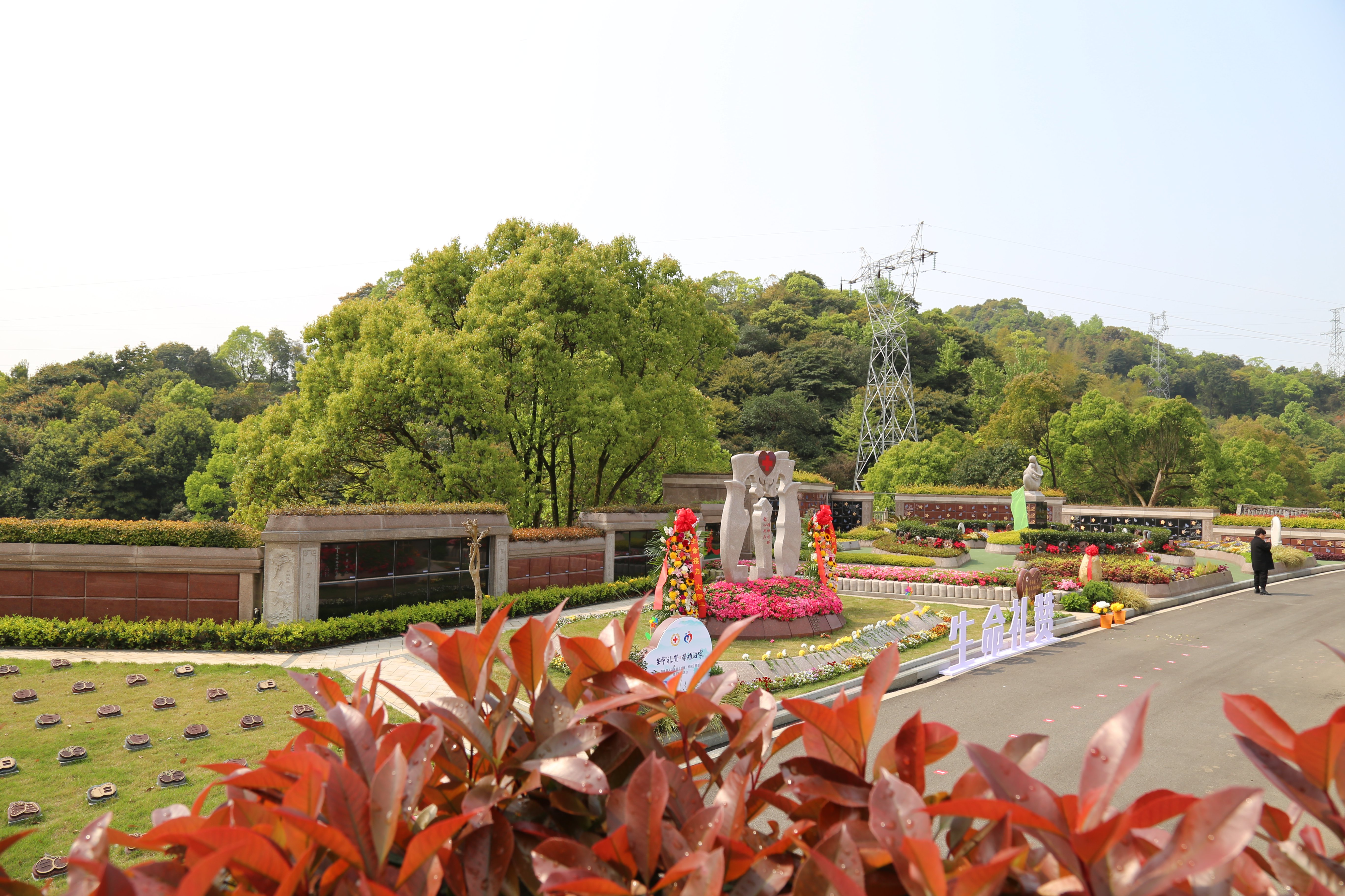 Z6·尊龙凯时(中国区)人生就是搏!