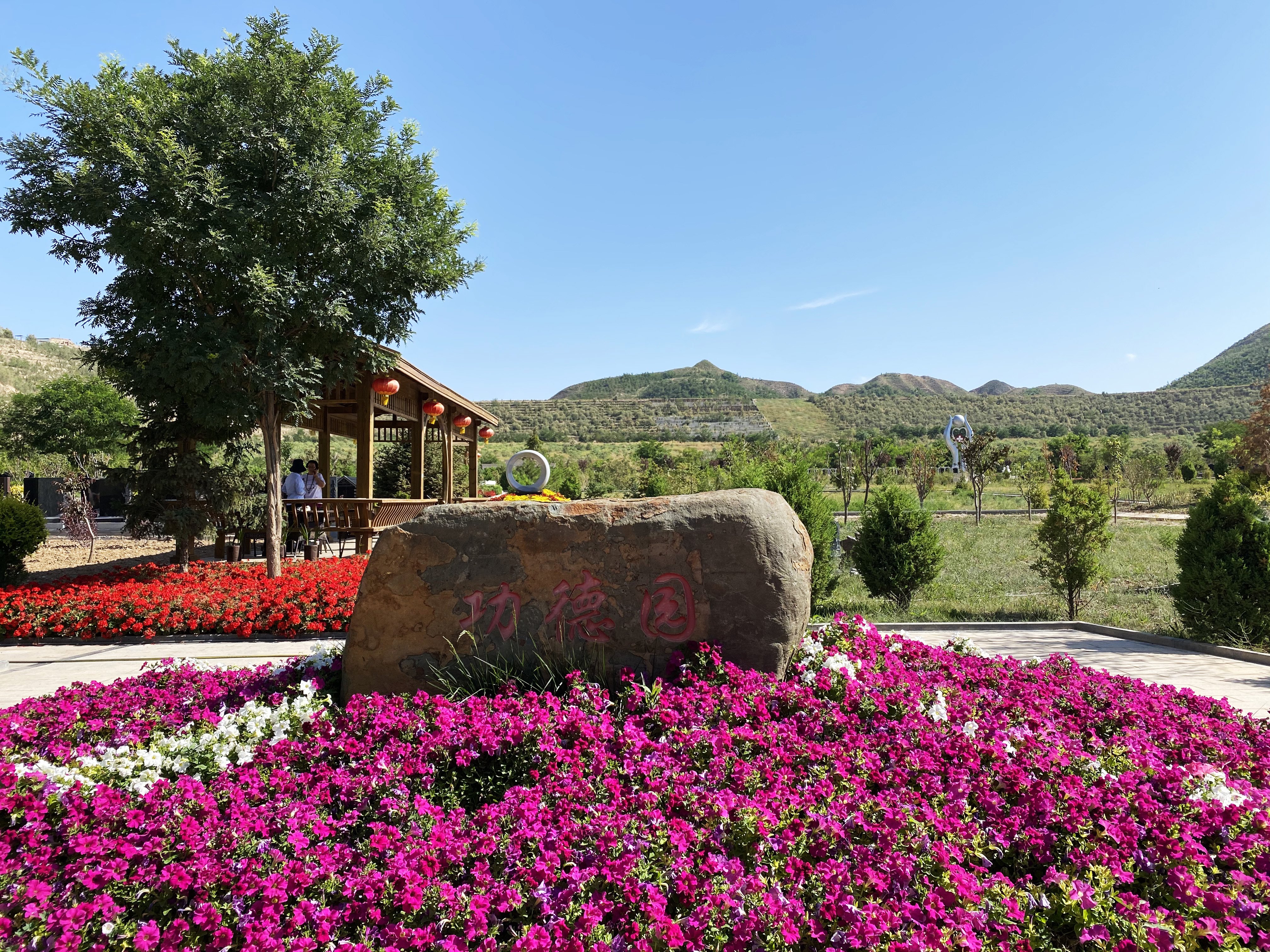 Z6·尊龙凯时(中国区)人生就是搏!