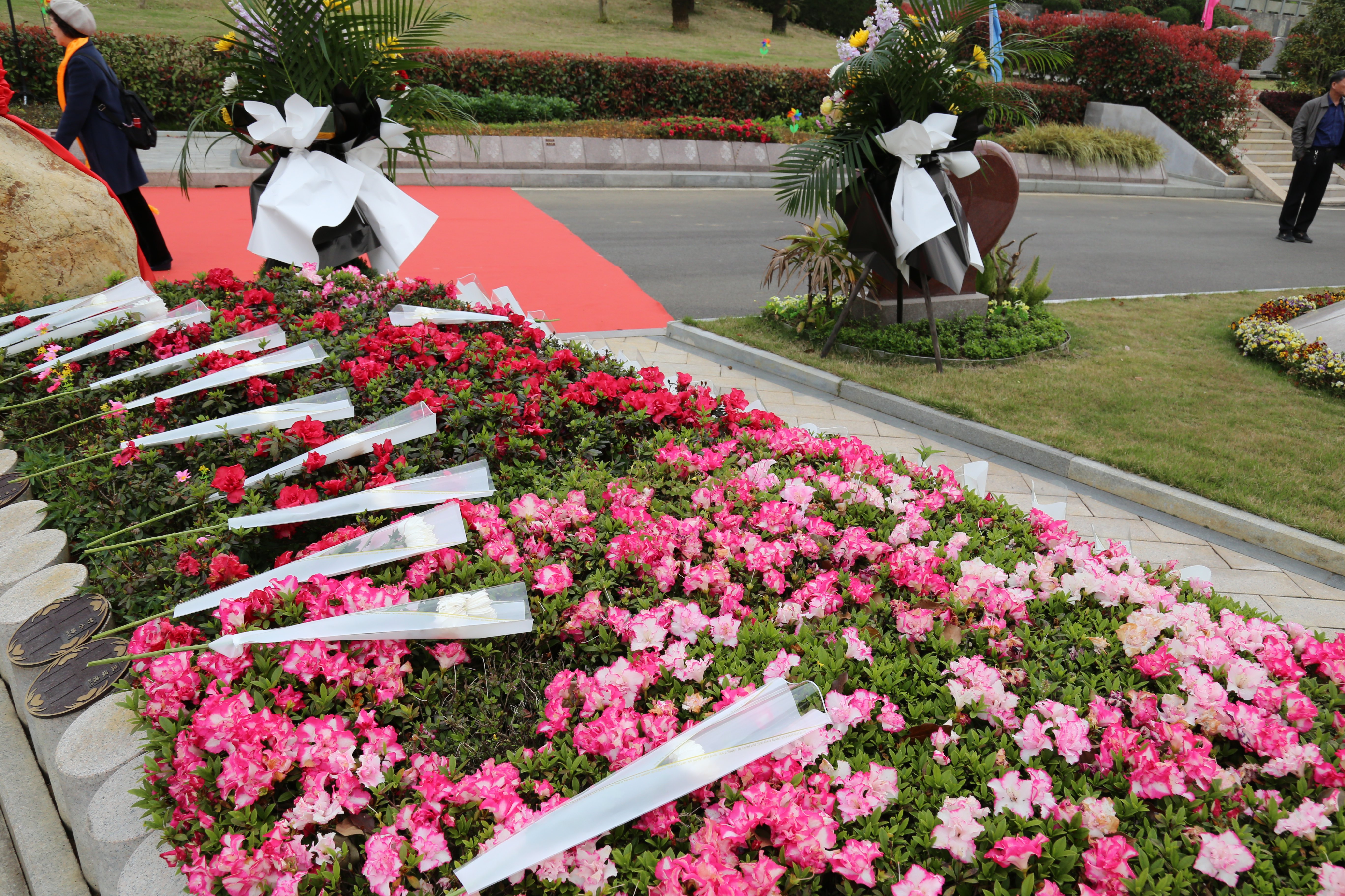 Z6·尊龙凯时(中国区)人生就是搏!