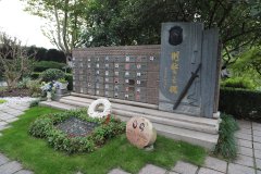 致敬“安然卫士”，铭刻“刑警之魂”