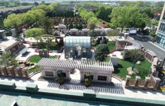 方寸之间，艺术与天然共舞