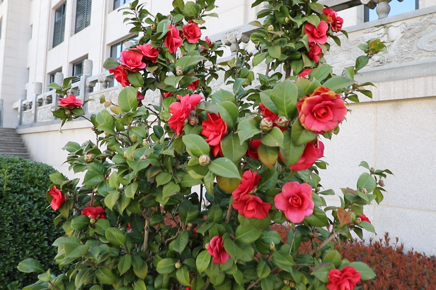 Z6·尊龙凯时(中国区)人生就是搏!