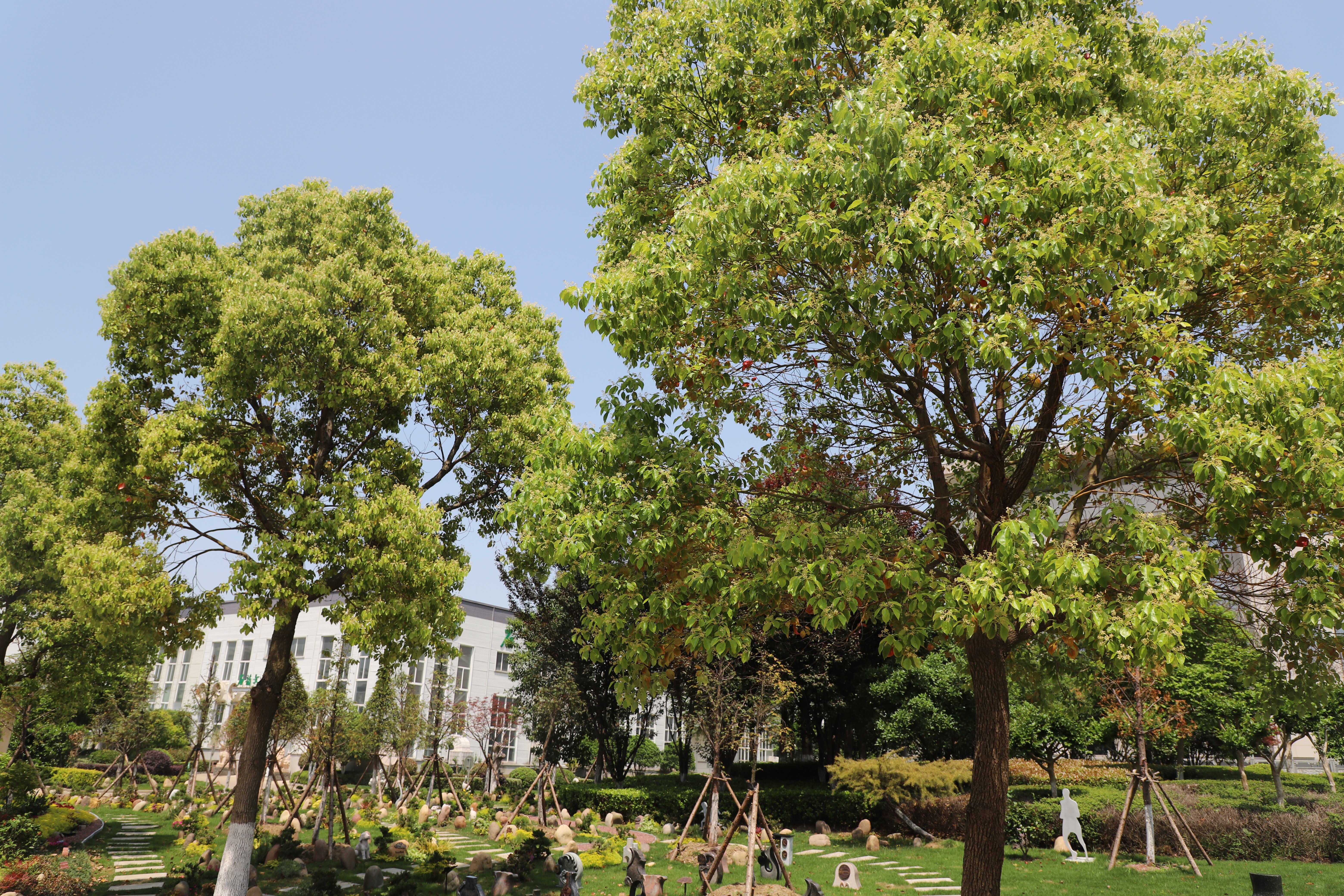 Z6·尊龙凯时(中国区)人生就是搏!