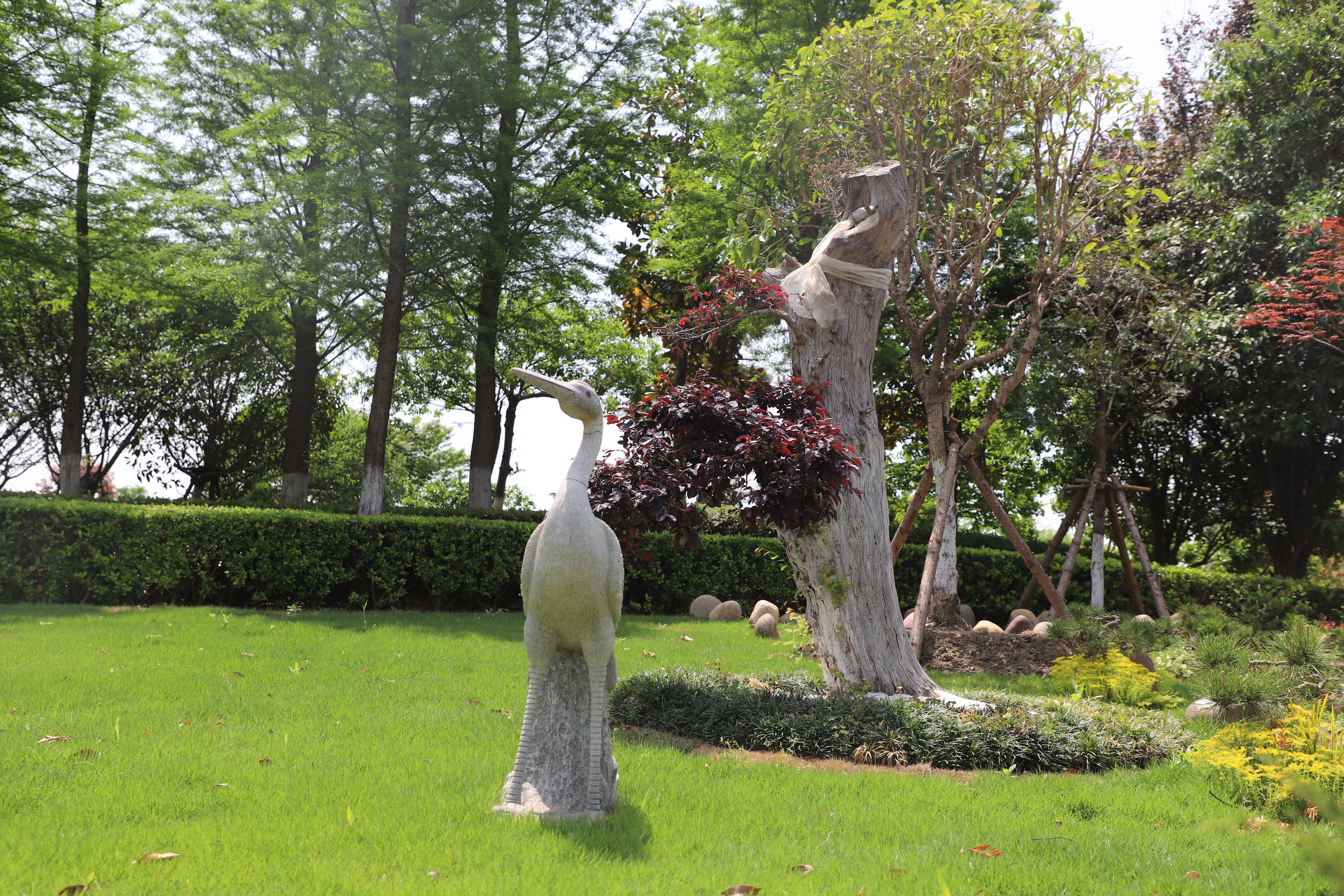 Z6·尊龙凯时(中国区)人生就是搏!