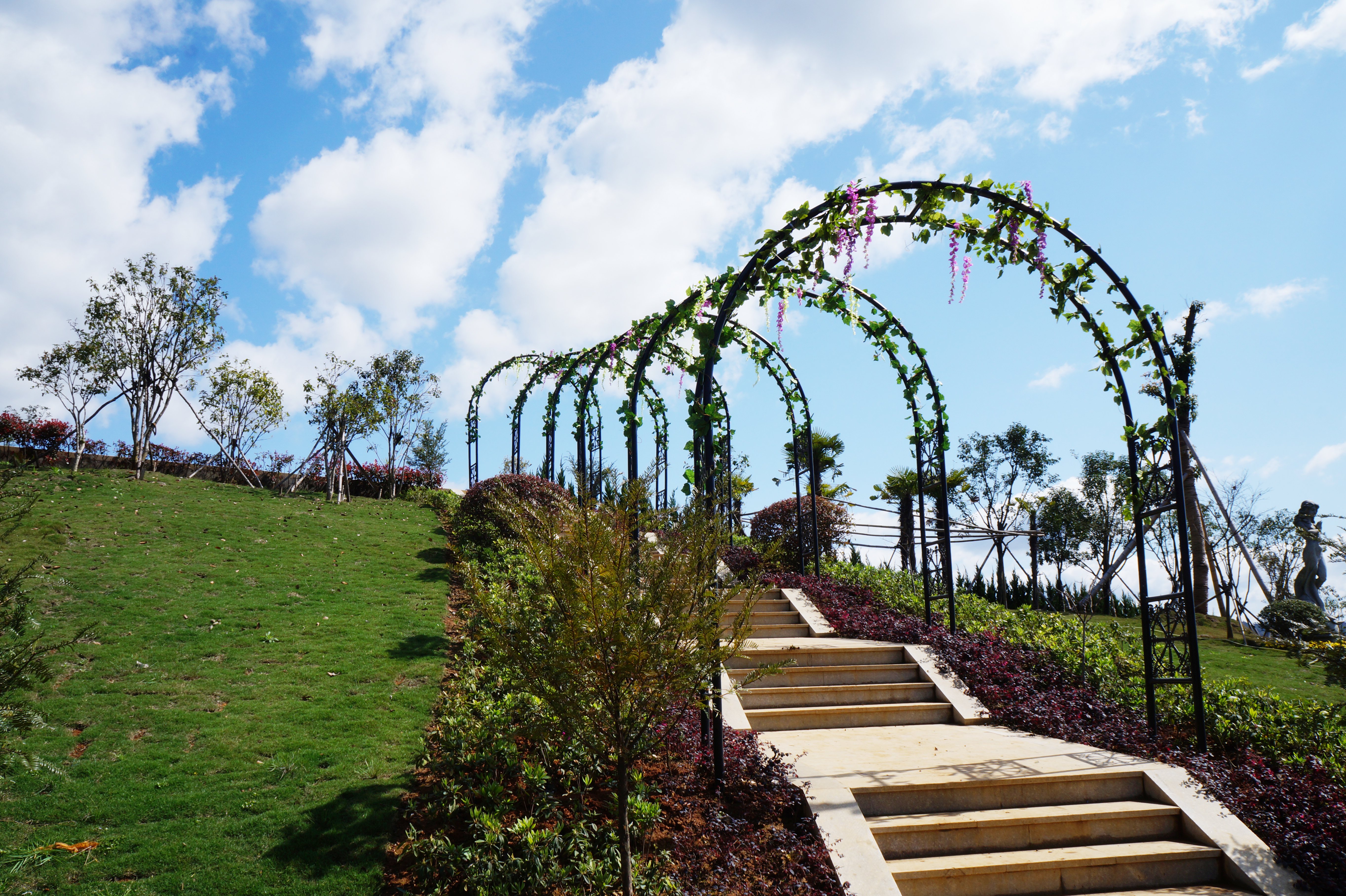 Z6·尊龙凯时(中国区)人生就是搏!