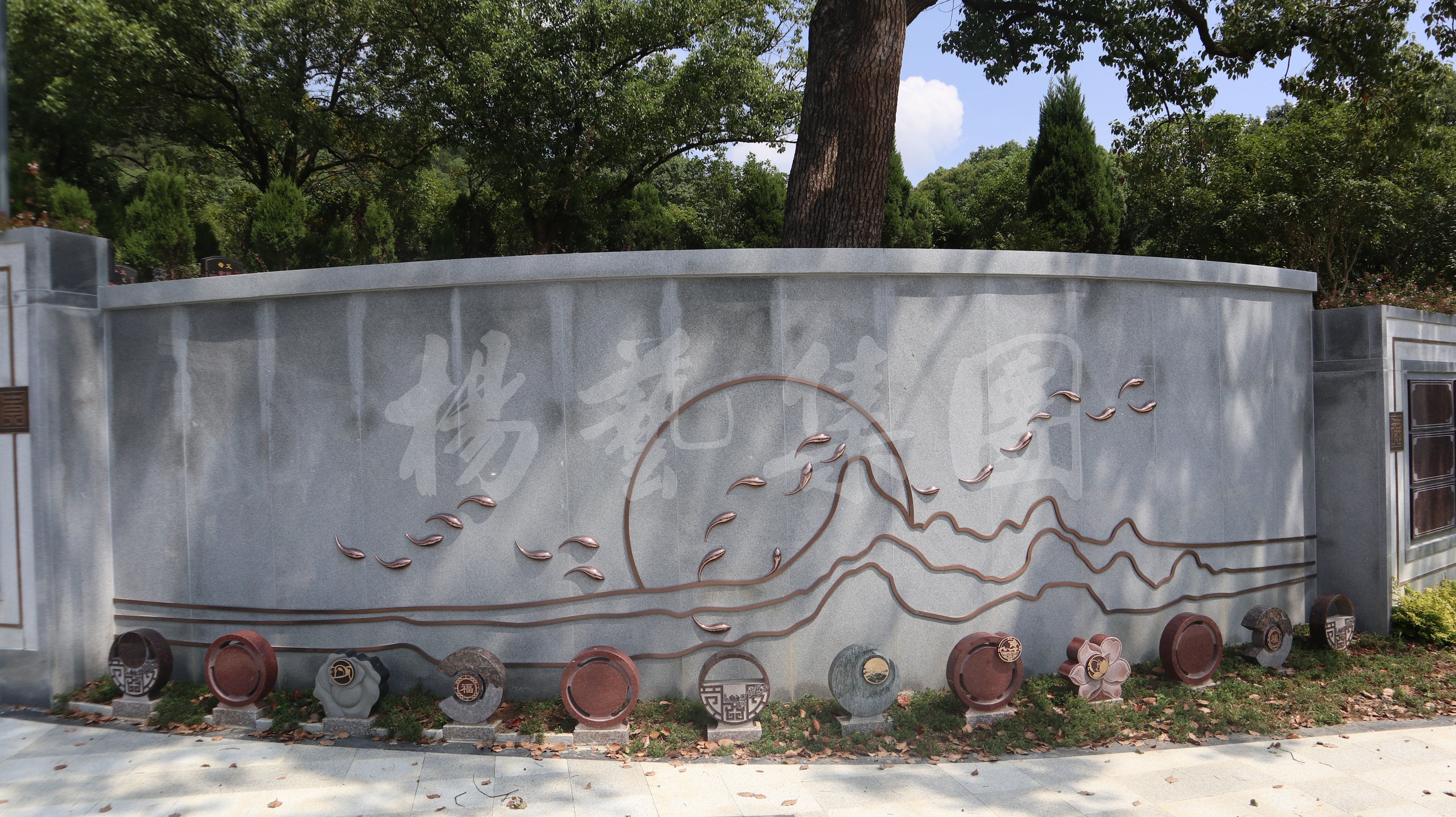 Z6·尊龙凯时(中国区)人生就是搏!