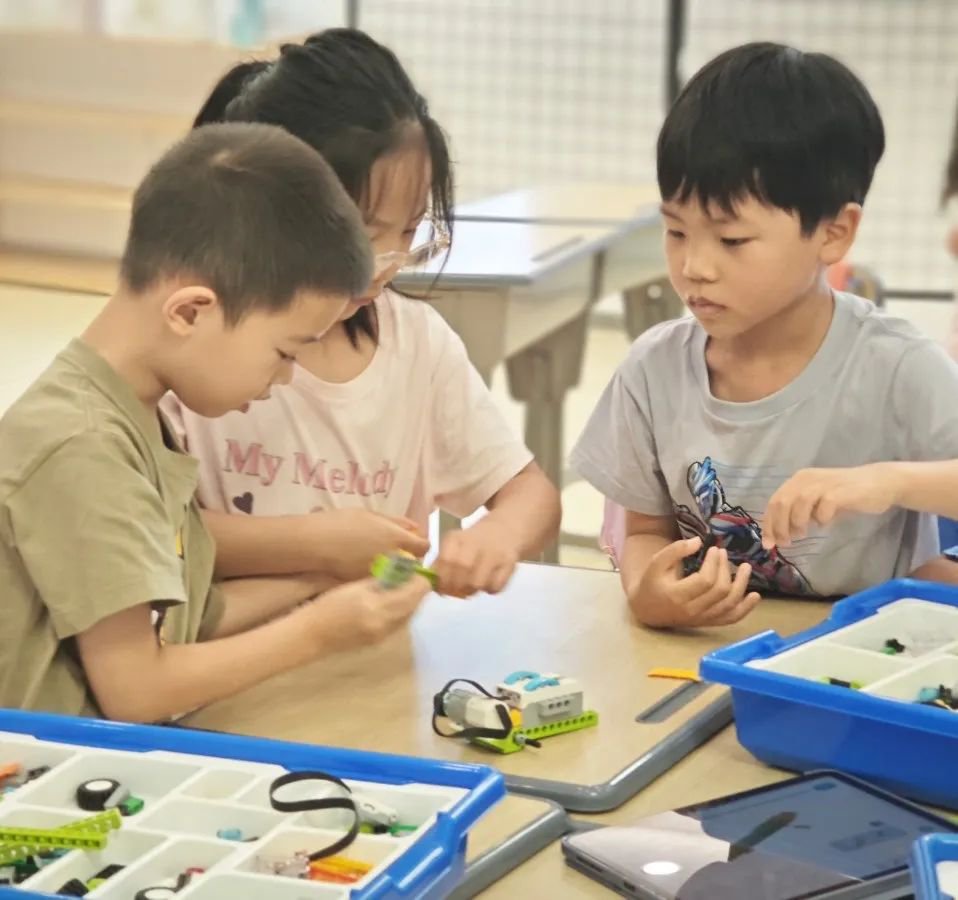 Z6·尊龙凯时(中国区)人生就是搏!