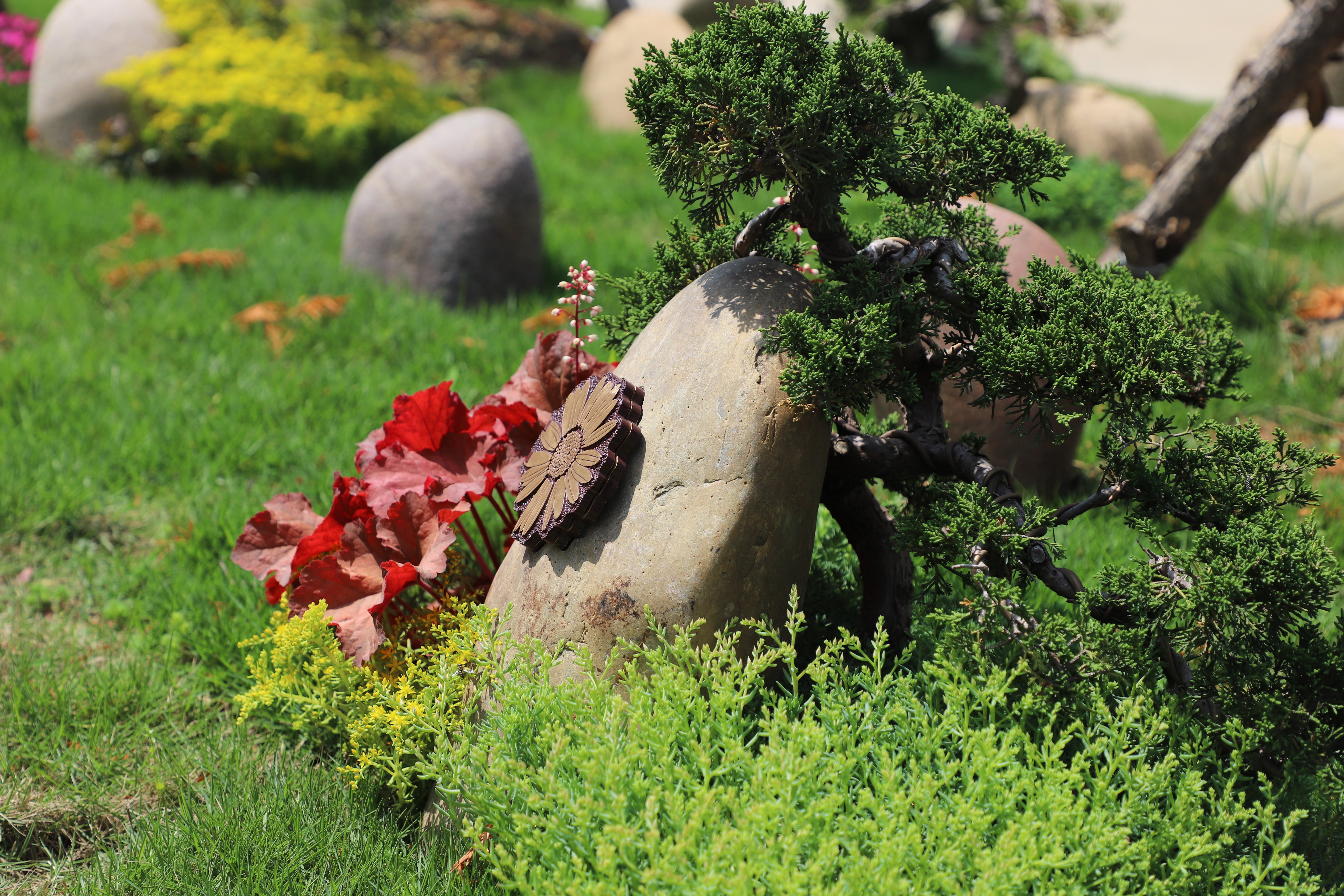 Z6·尊龙凯时(中国区)人生就是搏!