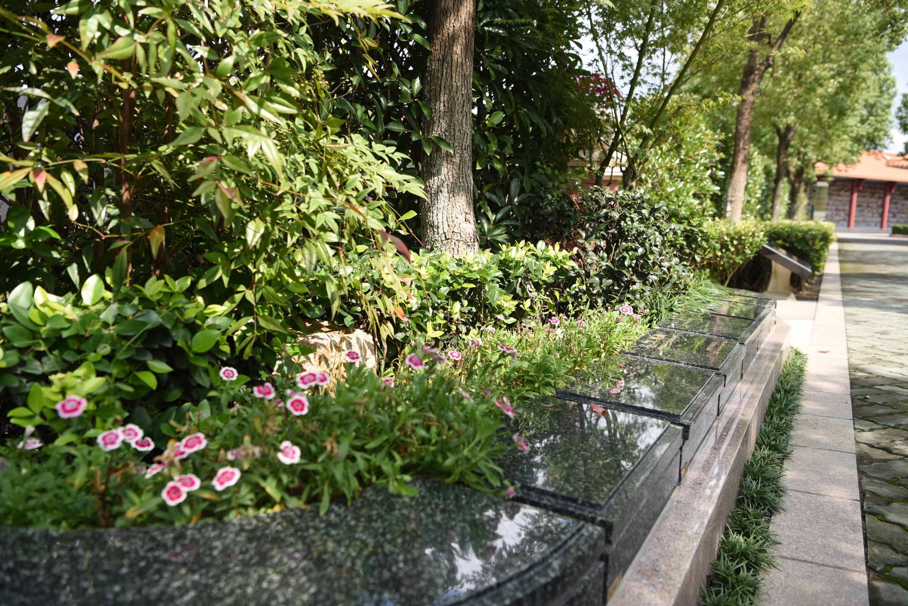 Z6·尊龙凯时(中国区)人生就是搏!