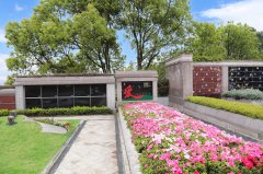 归于天然，泽被后世：解读现代生态葬及其创新趋向