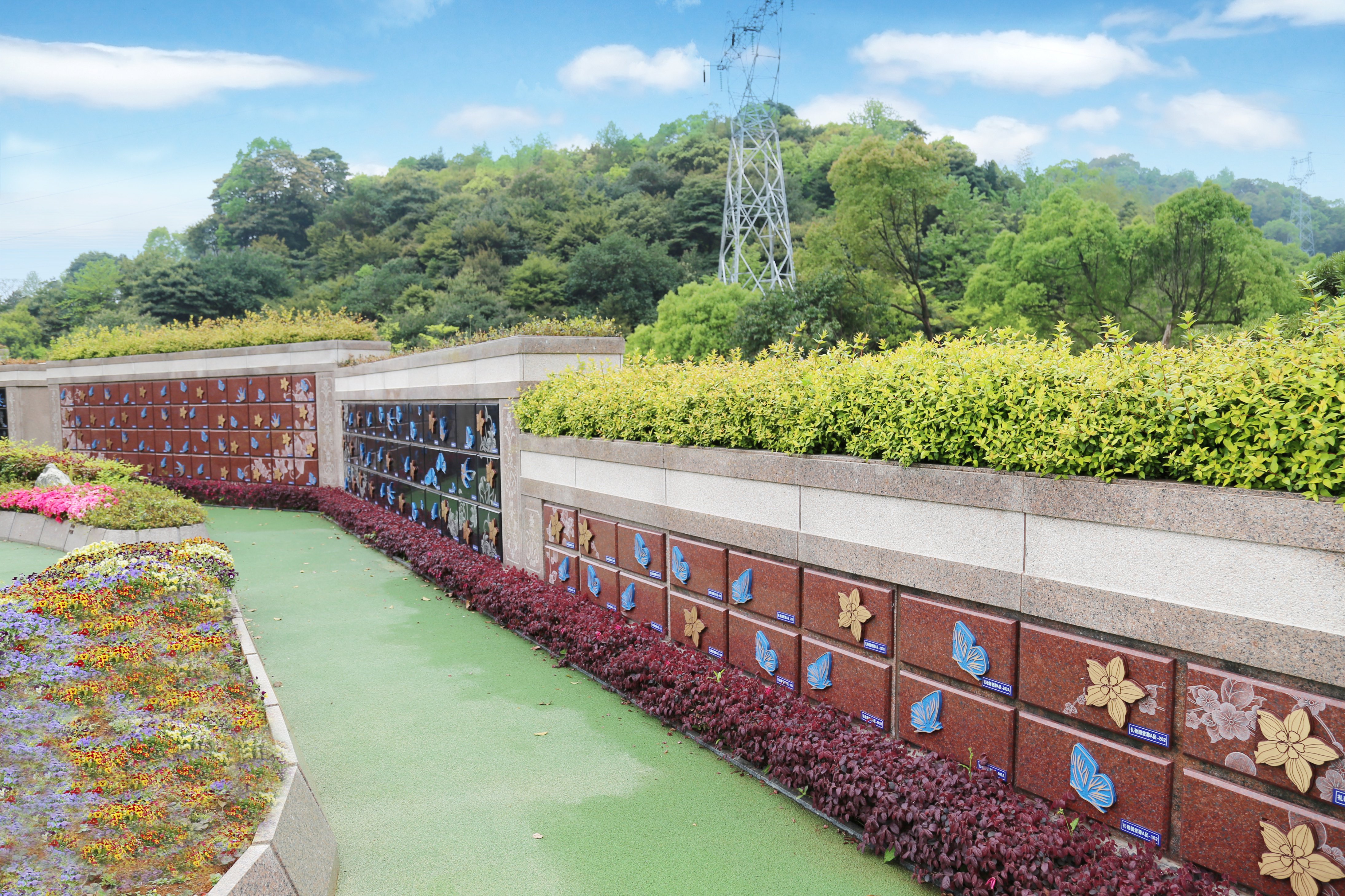 Z6·尊龙凯时(中国区)人生就是搏!