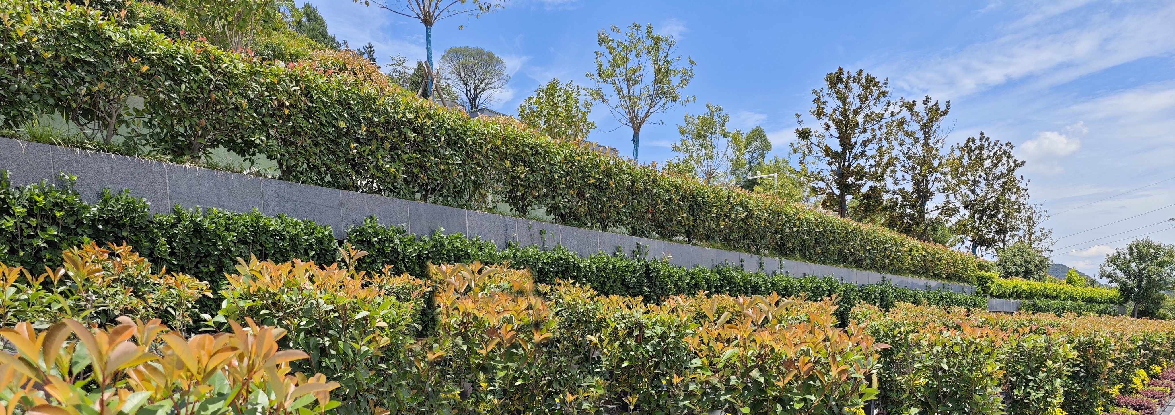 Z6·尊龙凯时(中国区)人生就是搏!