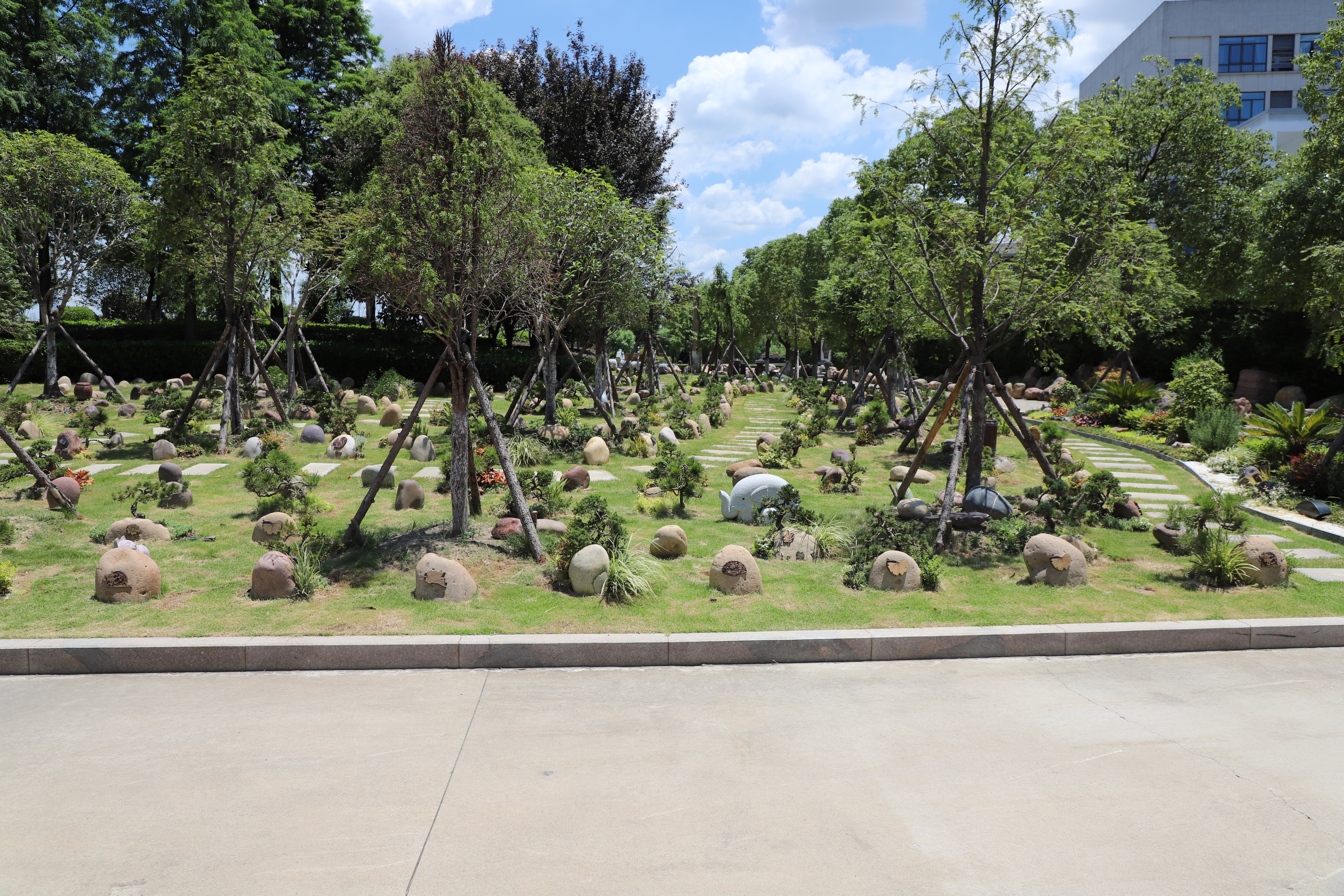 Z6·尊龙凯时(中国区)人生就是搏!