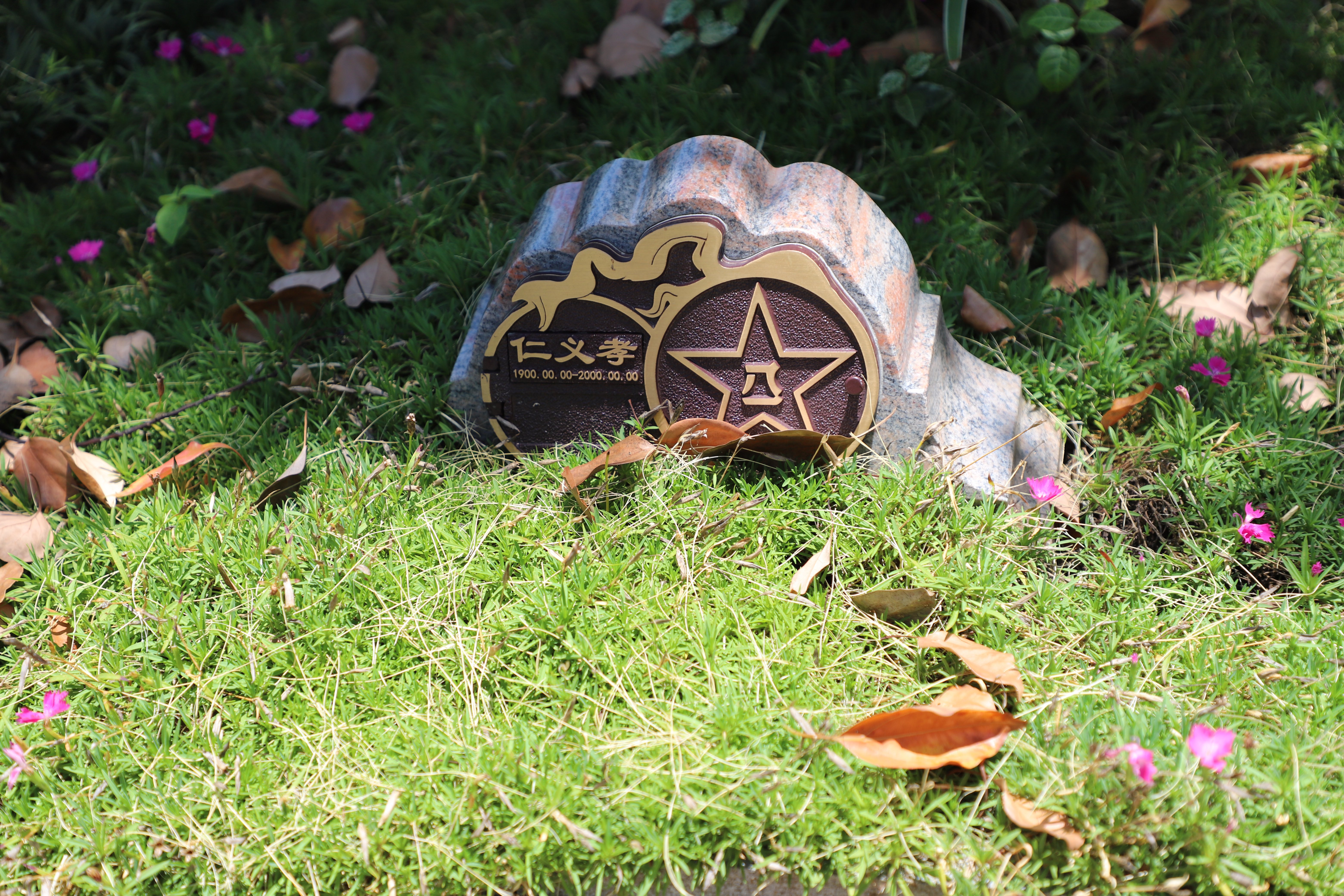 尘归尘，土归土：当性命终与天然相融