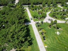 碑雕设计：镌刻汗青，传承人文